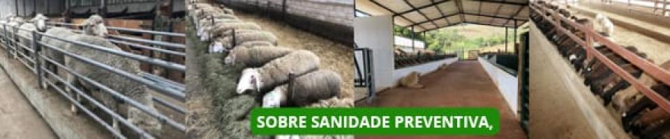 Sobre sanidade preventiva