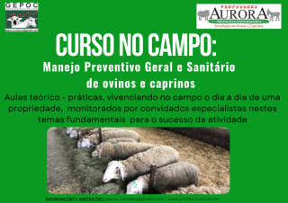 curso manejo preventivo 2024