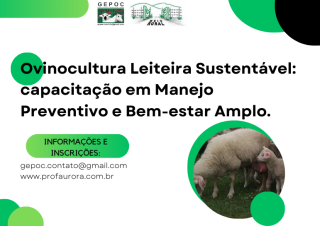 curso ovinocultura sustentável