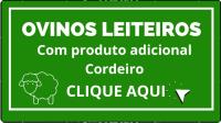 OVINOCULTURA LEITEIRA com produto adicional CORDEIRO