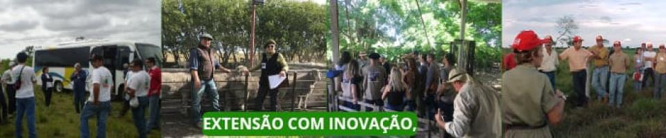 Extensão com inovação