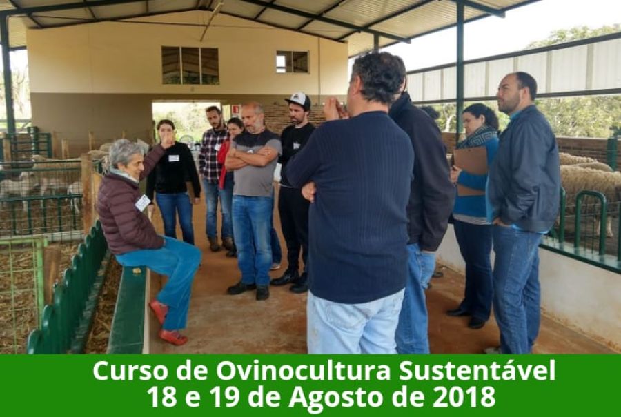 1° Curso de Ovinocultura Leiteira Sustentável