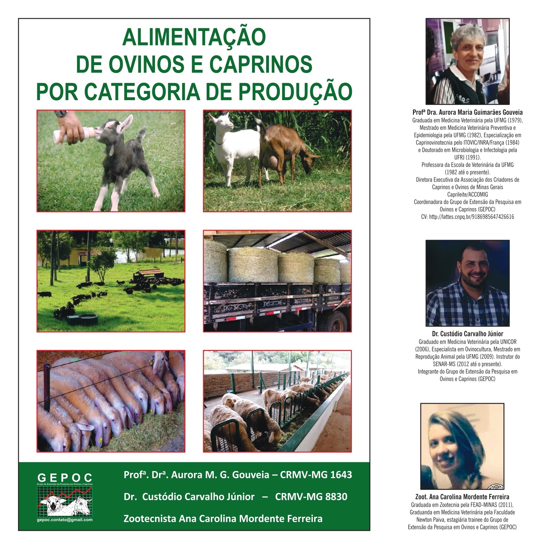 Caderno Técnico Alimentação de Ovinos e Caprinos por Categoria de Produção