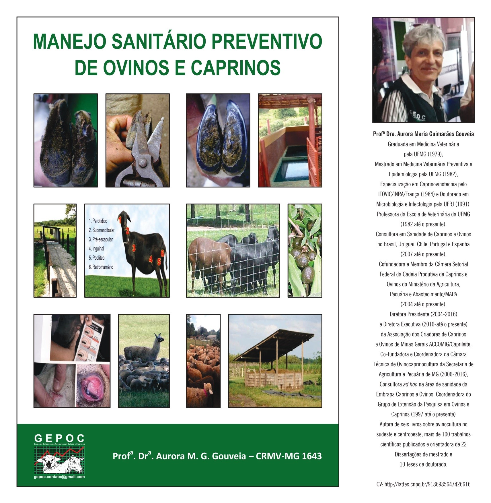 Caderno Técnico Manejo Sanitário Preventivo de Ovinos e Caprinos