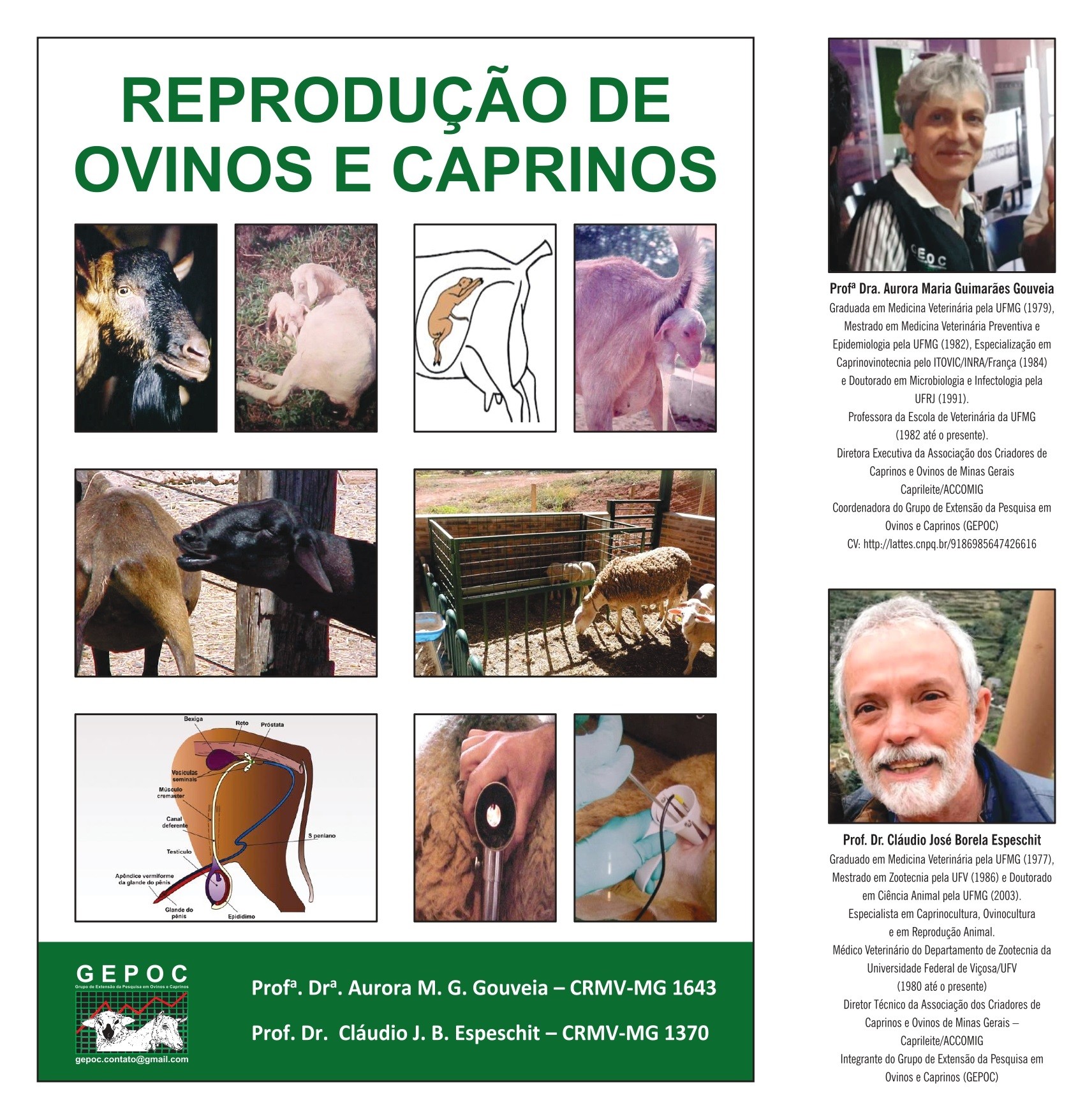 Caderno Técnico Reprodução de Ovinos e Caprinos