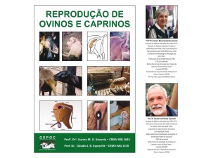 Caderno Técnico Reprodução de Ovinos e Caprinos