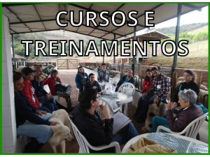 Cursos e Treinamentos