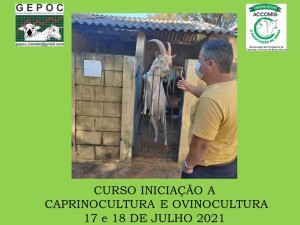 117° Curso de Iniciação