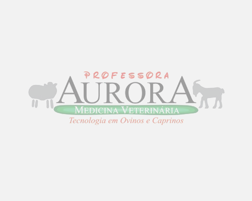 Cursos EAD (Ensino a distância)